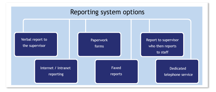 Reporting System Support RTW Matters - Handbook Extract: Guide to injury reporting systems